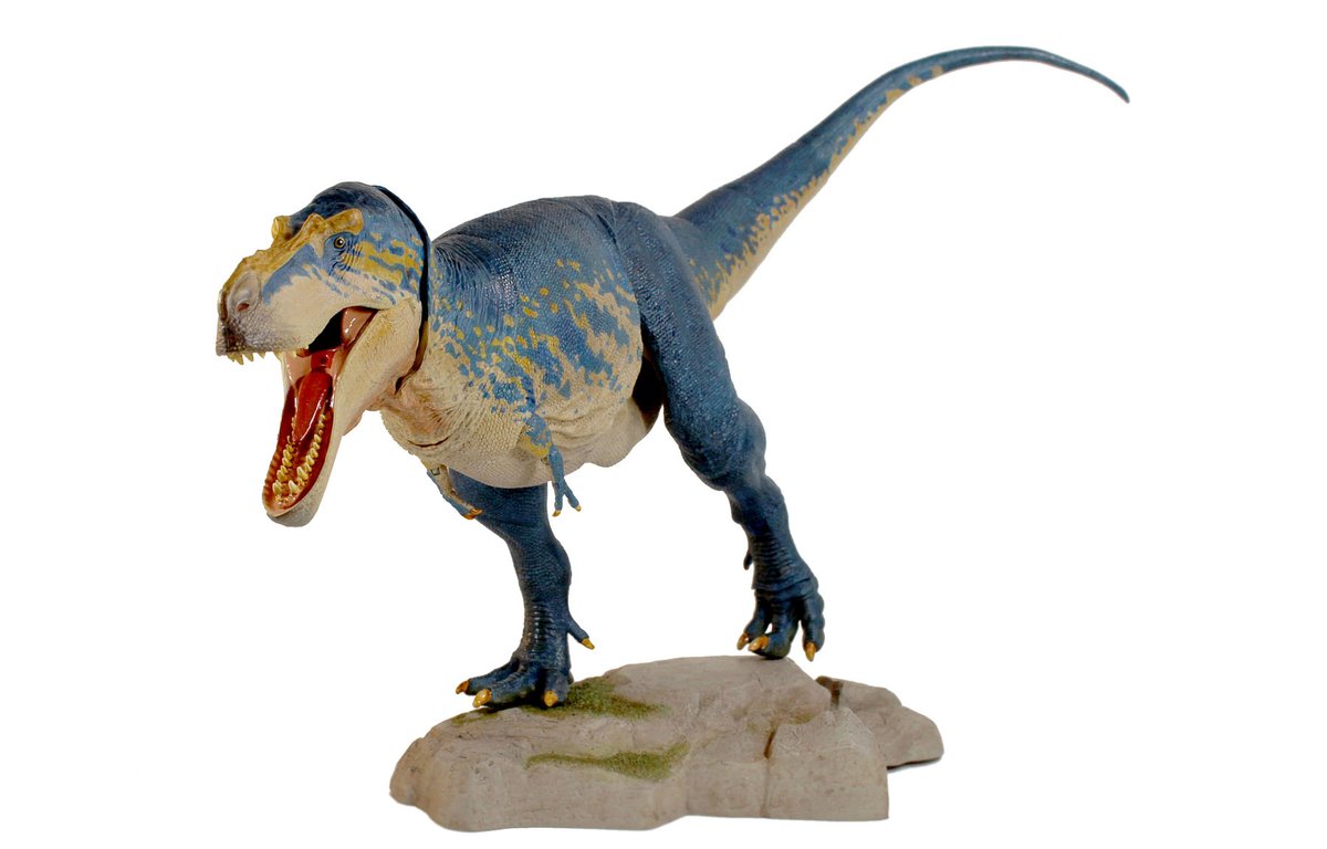 Beast_SculptKit's tweet photo. Here's a look at the final paint sample from the BotM Tyrannosaur Series wave 3- the Gorgosaurus libratus! 
Wave 3 is enroute to our US warehouse now and we hope to begin order fulfillment by the end of this month- preorders will remain up until then! #beastsofthemesozoic https://t.co/CMunQr98WG