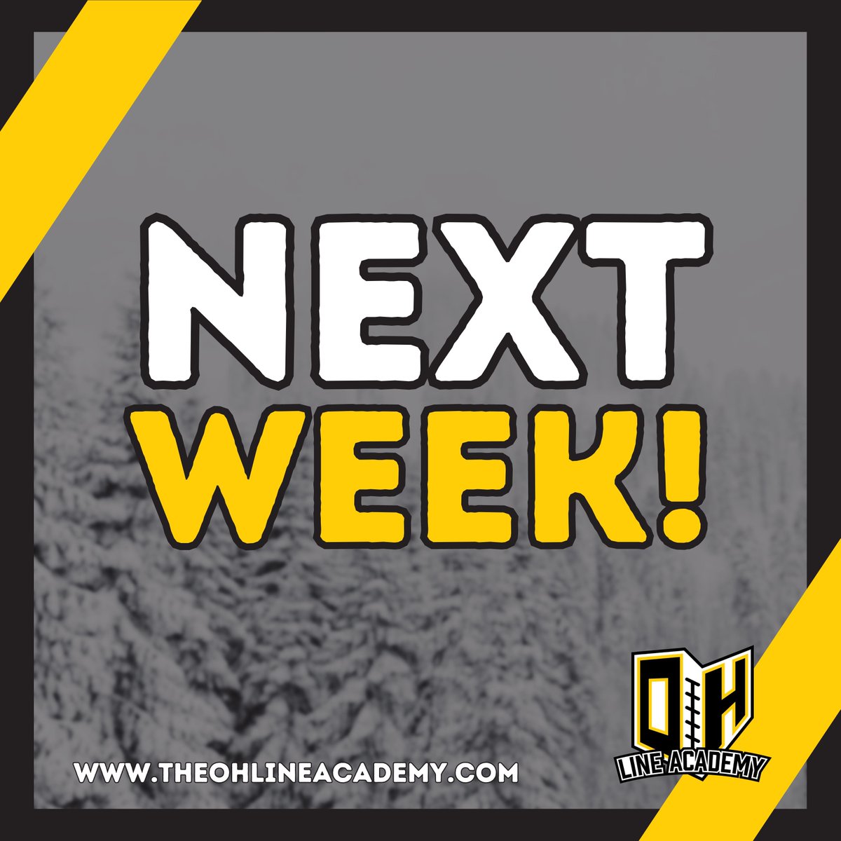 The OH Line Academy tweet media