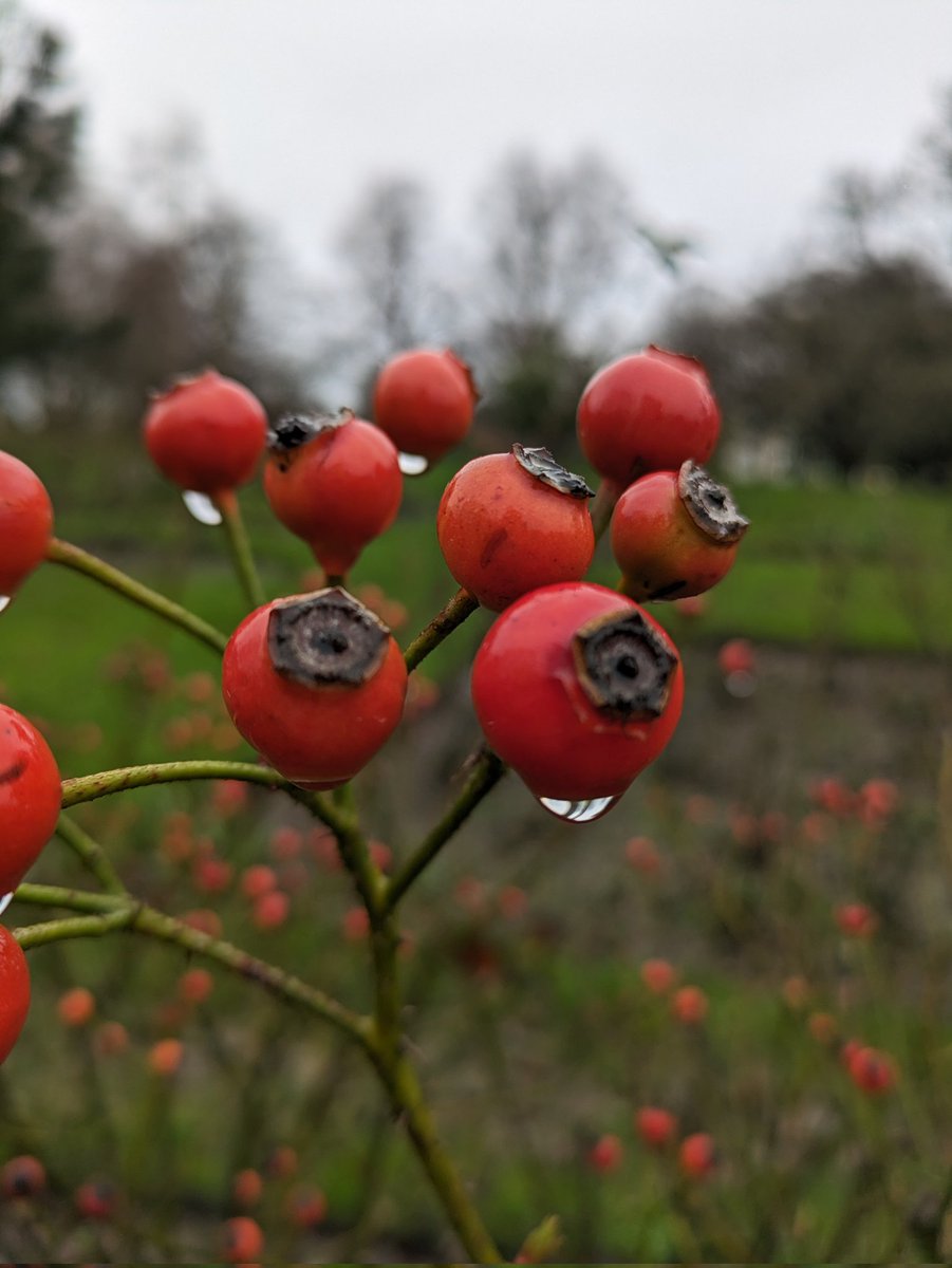 Emily Whiteley tweet media