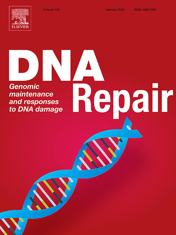 Penny Jeggo the Co-editor in Chief of DNA Repair has done it again and brought together a 10th Cutting Edge Perspective of Genome Maintenance authors.elsevier.com/a/1iIuu5aisDUB… Please read 15 timely reviews on exciting developments in genome stability and damage response pathways.
