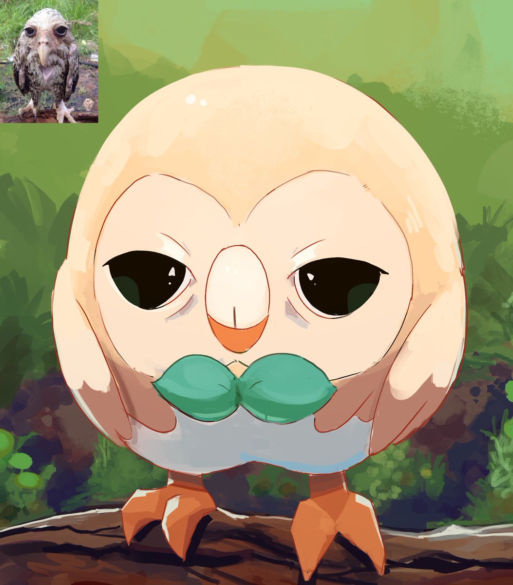 Chufflepop's tweet photo. Rowlet https://t.co/4PL5v2LOeY