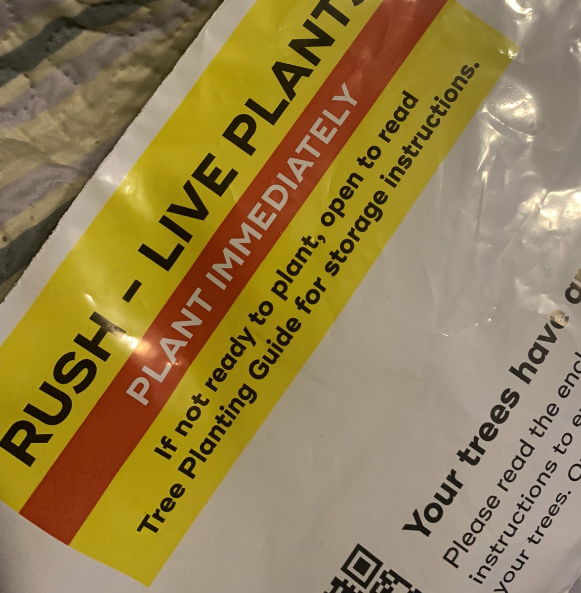Adralicious's tweet photo. 1st order of plants for the season came in!!! I have multiple of each… WHITE FLOWERING DOGWOODS, CRAPEMYRTLES & EASTERN REDBUD TREES! Mom loves dogwoods so my parents will have all of these & 2 of the others go w me. Until I get time everyone’s in the greenhouse! #HurrySpring ❤️ https://t.co/cw8qs65VXG