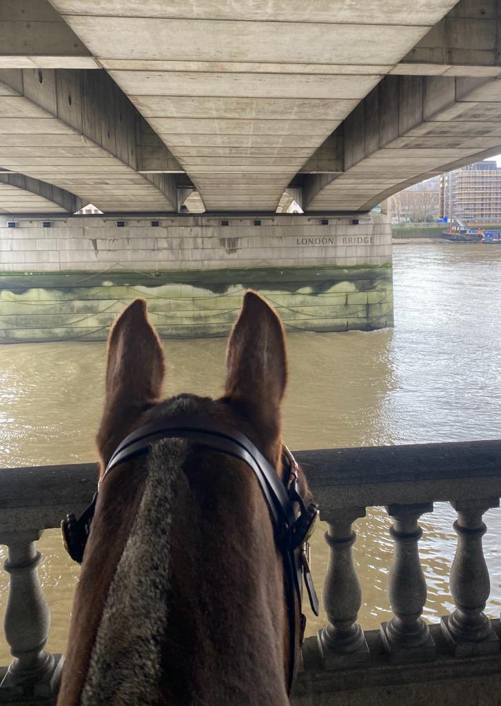 Can you guess which City Bridge #PHPollard was patrolling under with #PHGilbert earlier today….

#keepinglondonsafe

@CityPolice  200CP