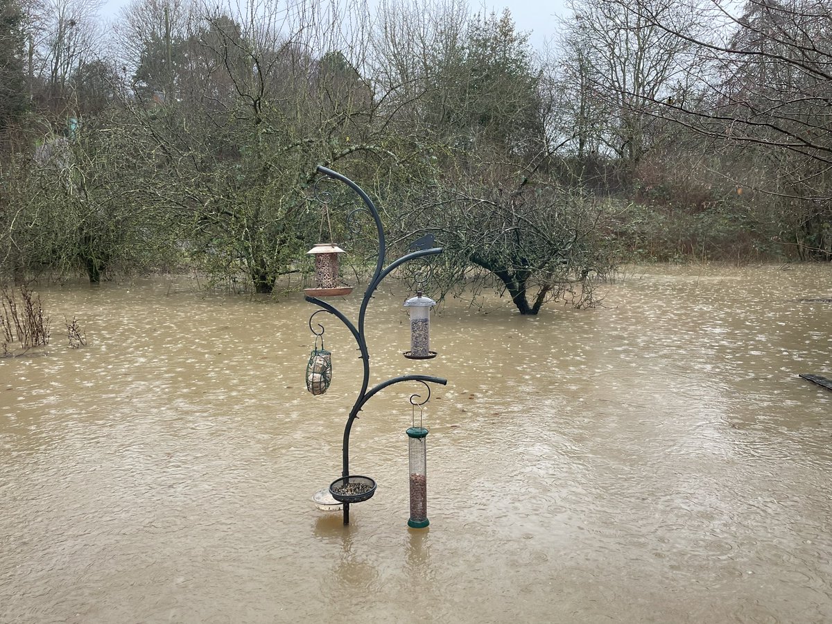 View from Brook Cottage kitchen window - glad I topped up the bird seed feeders yesterday!
Stay safe everyone #StormHenk #flooodprepared #riversevern #staysafe