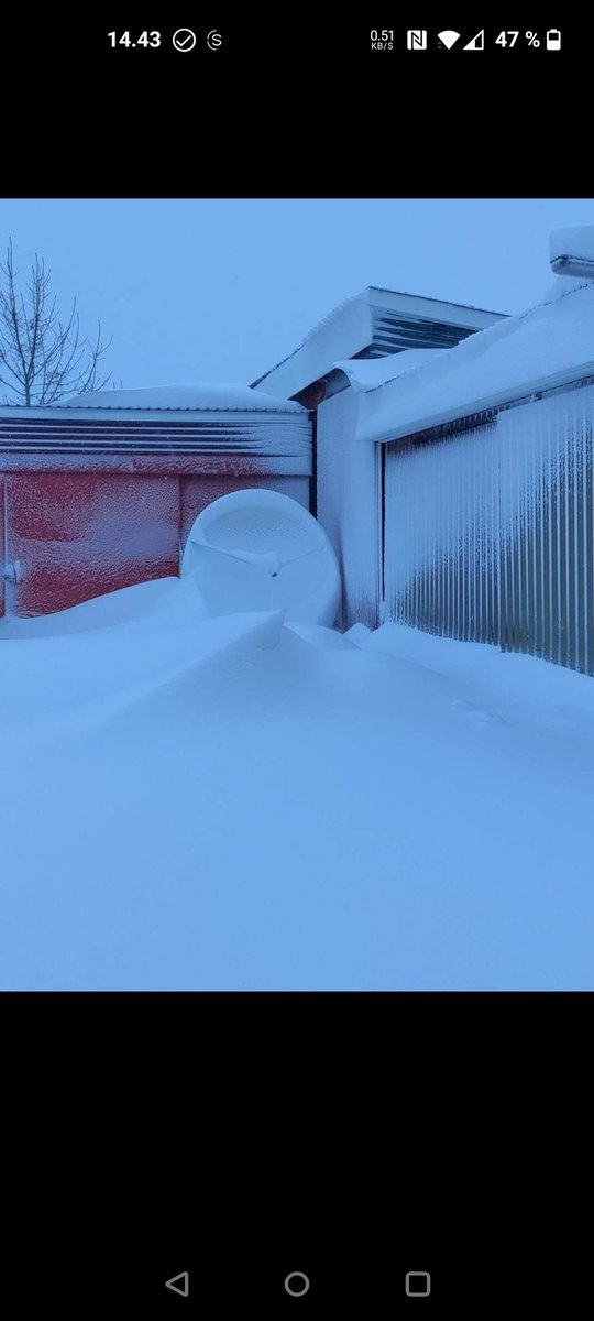 OZ1SKY_Brian tweet media