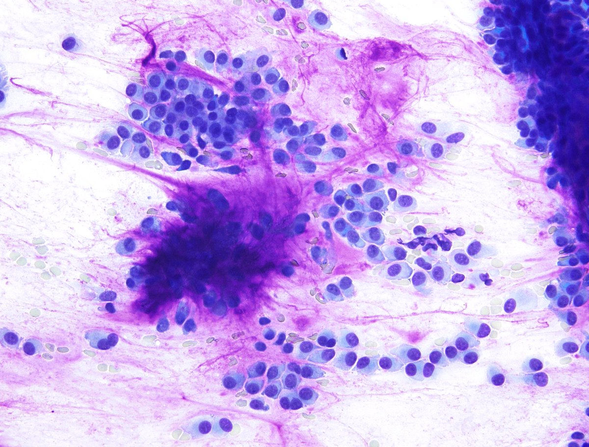 Syed Z. Ali tweet media