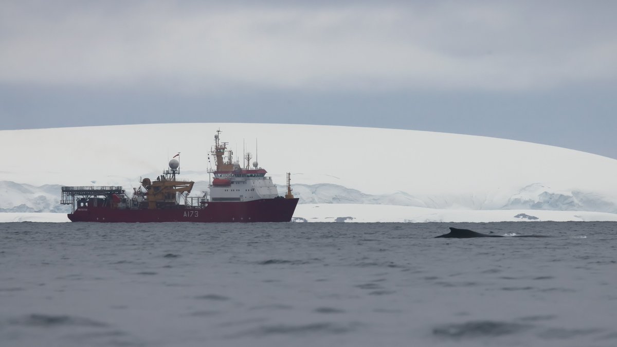hmsprotector's tweet photo. We have arrived in the Antarctic and the local wildlife came out to greet us. Next stop Port Lockroy. Photos by @gtsasmithphotography
@AntarcticHT @natgeowild @RoyalNavy https://t.co/f2lnjouE3Q