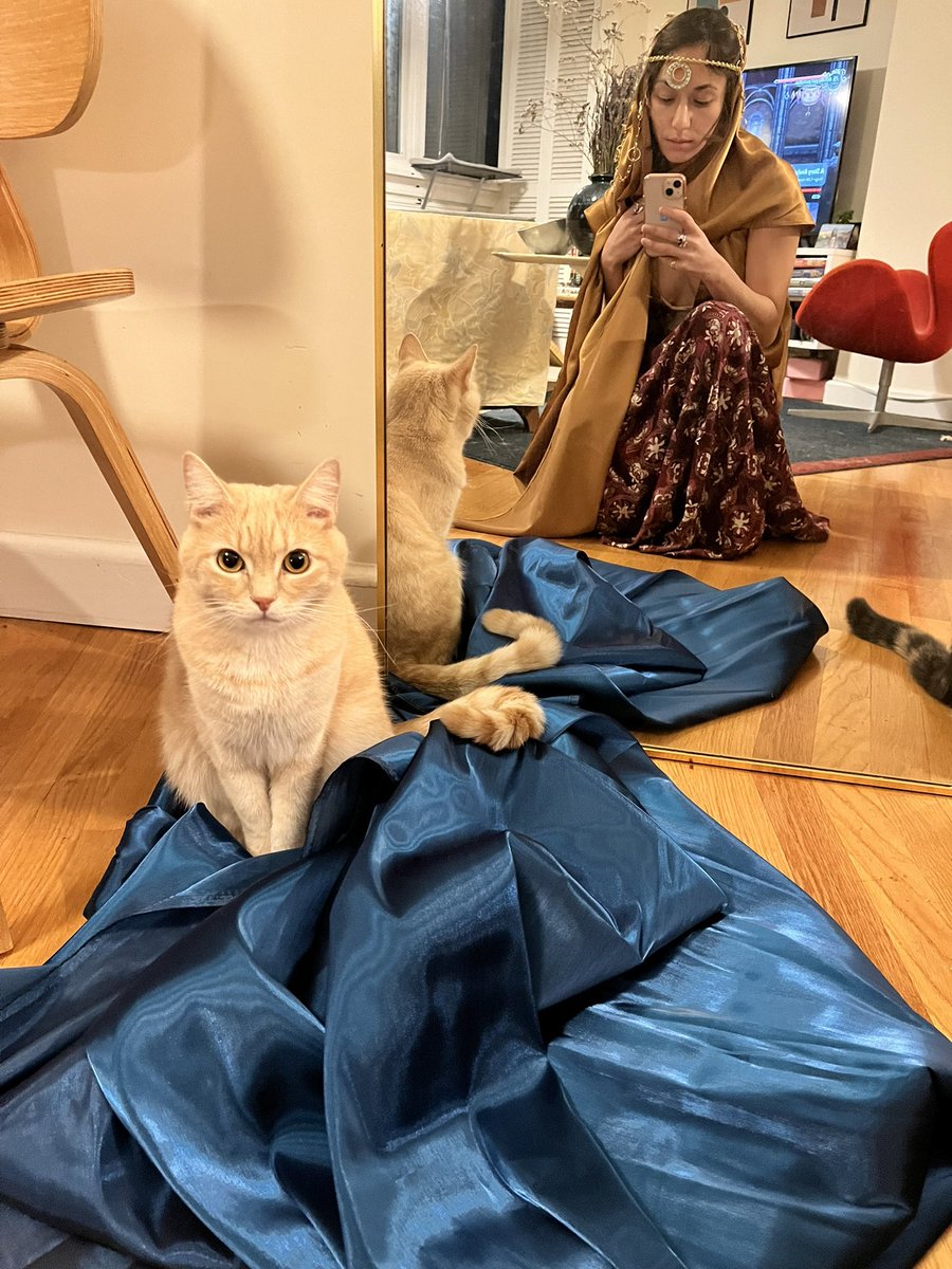 Cat content > progress photos!!!!! #fabtcg #cosplay