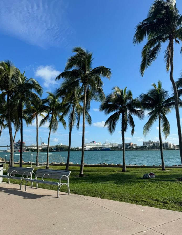 I learned from my friends that this application X can make friends with people from all walks of life around the world.🫡
#Hello