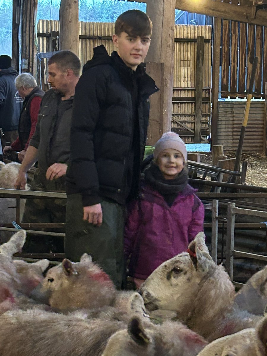 Scanning 2024. 🐑