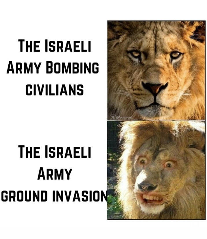 Ariel5436's tweet photo. Meanwhile satanyahu TERRORIST war criminal pig diapers army after their ground invasion in Gaza🤣 Long lives Hamas☝🏻🇵🇸🇵🇸 #NetanyahuWarCriminal #NetanyahuDevil #Gaza_Genocide #IsraelTerroristOrganization #IsraeliButchers #IsraelHamasWar
#GazaHolocaust #IsraelGenocida https://t.co/QXDZ1uDX3e