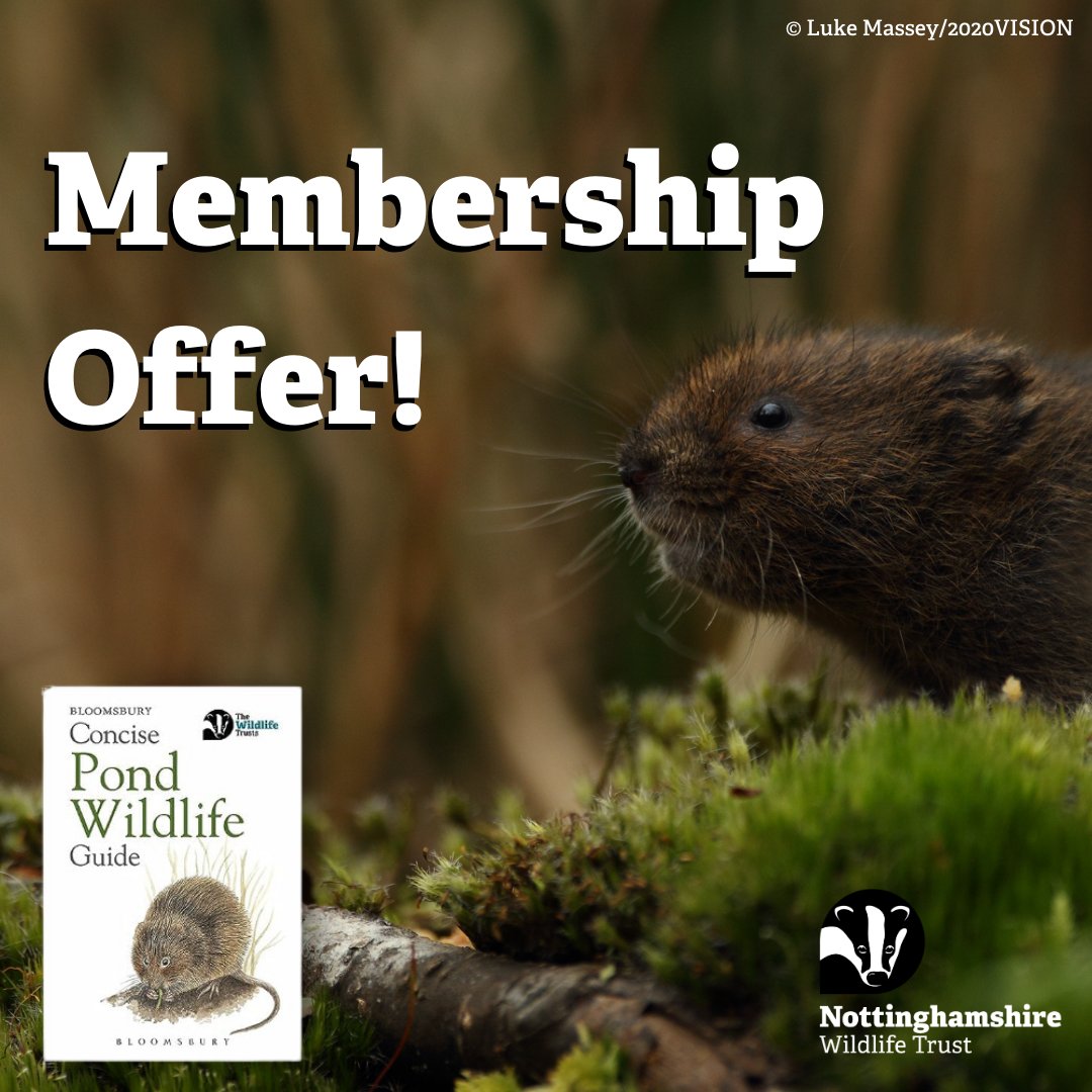 Nature needs our help! Become a member today and help protect and restore nature across Nottinghamshire.🍂 Join in January and as a thank you for your support, receive a fantastic wildlife ID guidebook! ✨ nottinghamshirewildlife.org/become-member-…