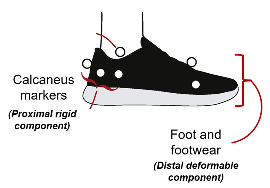 Emily Matijevich tweet media