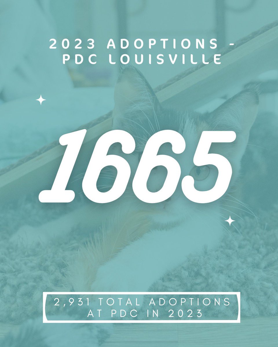 Attention Louisville!  The numbers are in!