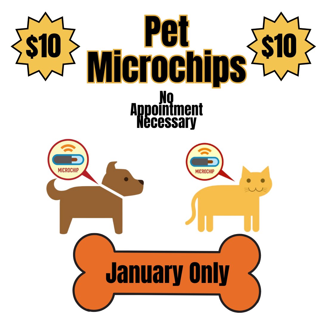 Pet #microchips are only $10 for the month of January.  No appointment necessary.
.
.
.
.
.
#DAS #colliercounty #naplesfl #naples #swfl #petmicrochipping