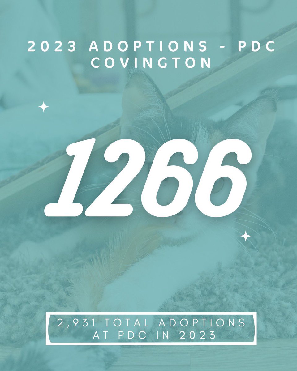 Attention Northern Kentucky and Cincinatti… the numbers are in!