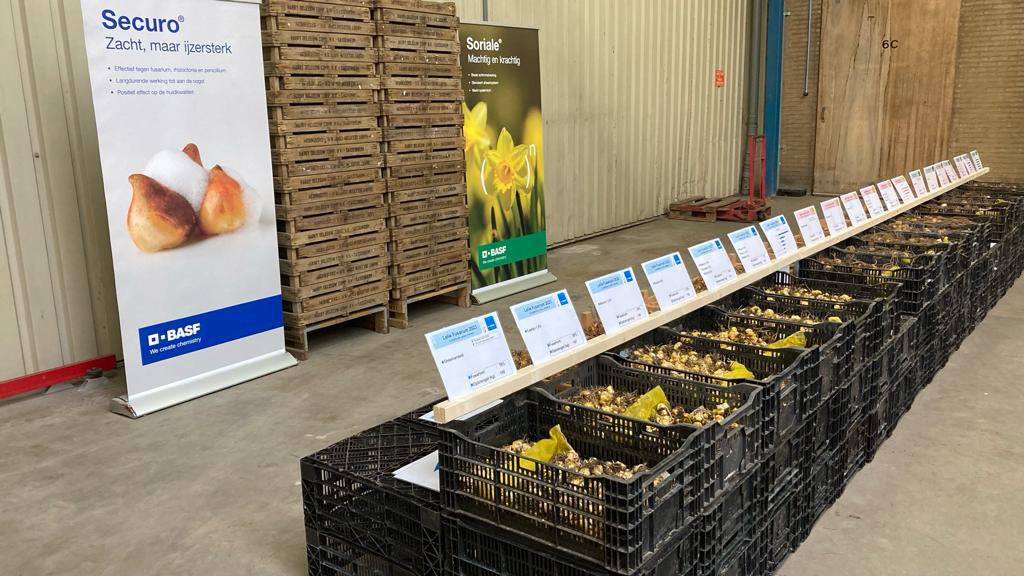 BASF staat weer klaar voor de demo’s lelie bolontsmetting op de opendag van Agrifirm in Breezand.
