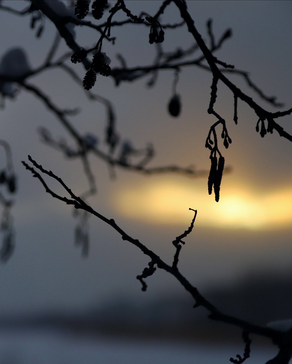 Sunset

#Helsinki #Finland #photography #StormHour #travel #Photograph #weather #nature #sunset #photo #landscape #Winter #Snow #visitfinland #visithelsinki #discoverfinland #ylesaa @ylesaa #WednesdayMotivation