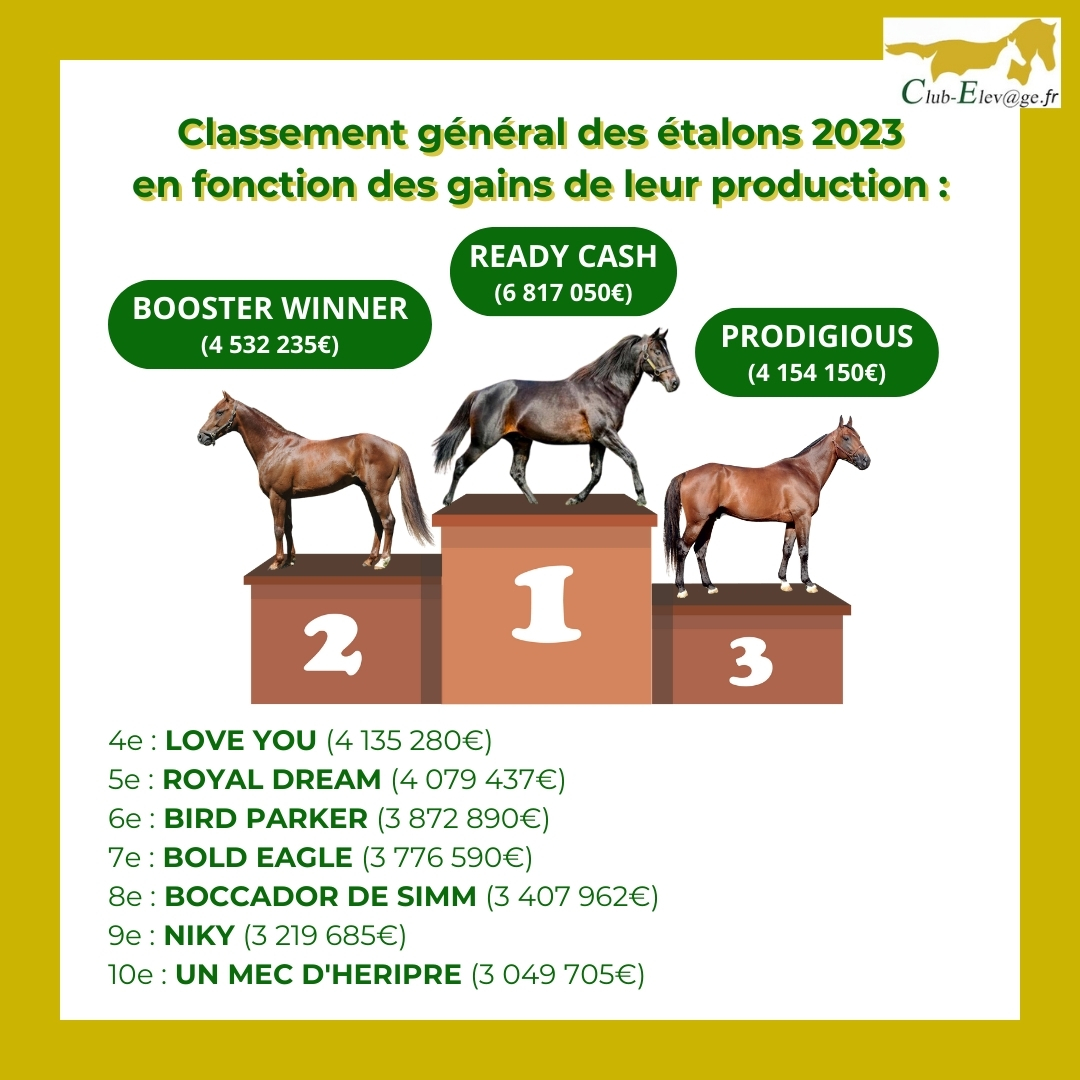 Voici le classement général des étalons en fonction des gains de leur production en 2023 (au 31 décembre).

#clubelevage #clubelevagetrot #readycash #boosterwinner #prodigious