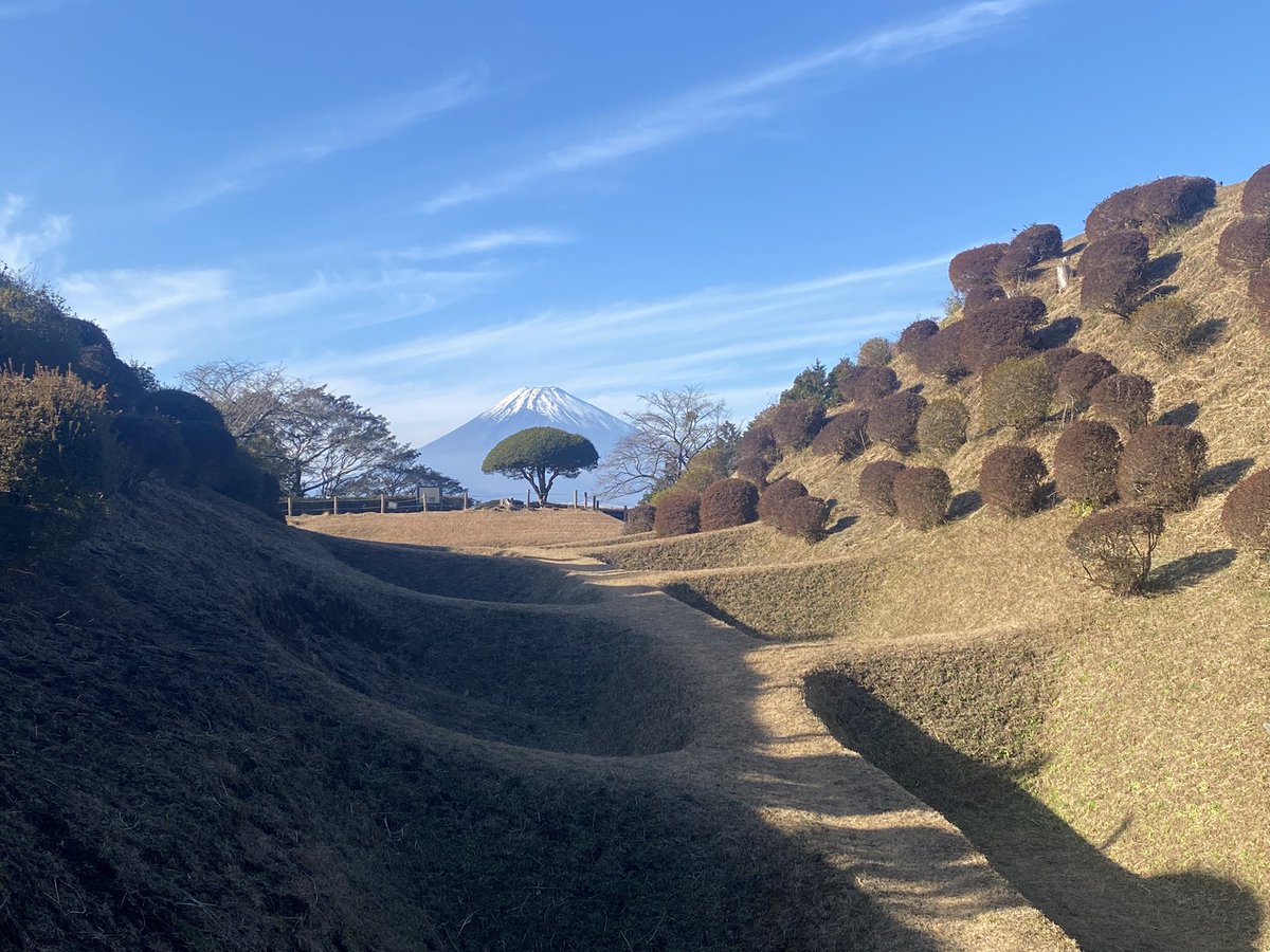 k-masahiro tweet media