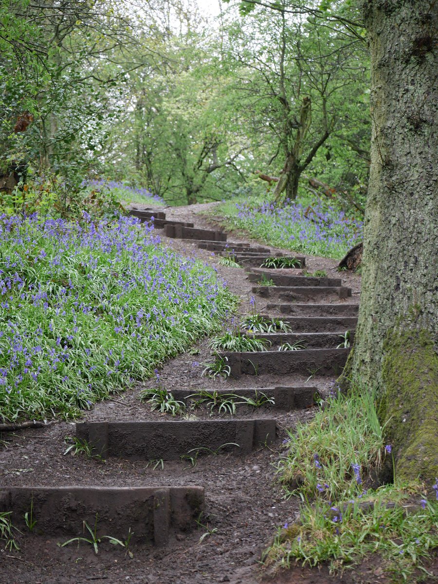 Some places just make you want to start writing... 

🌿✩ ₊˚🪵