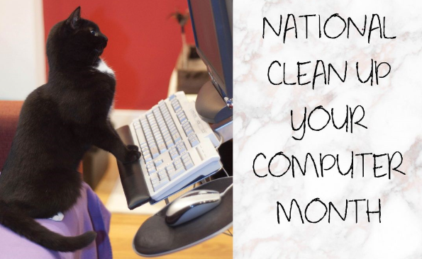 Full Circle IT Solutions tweet media