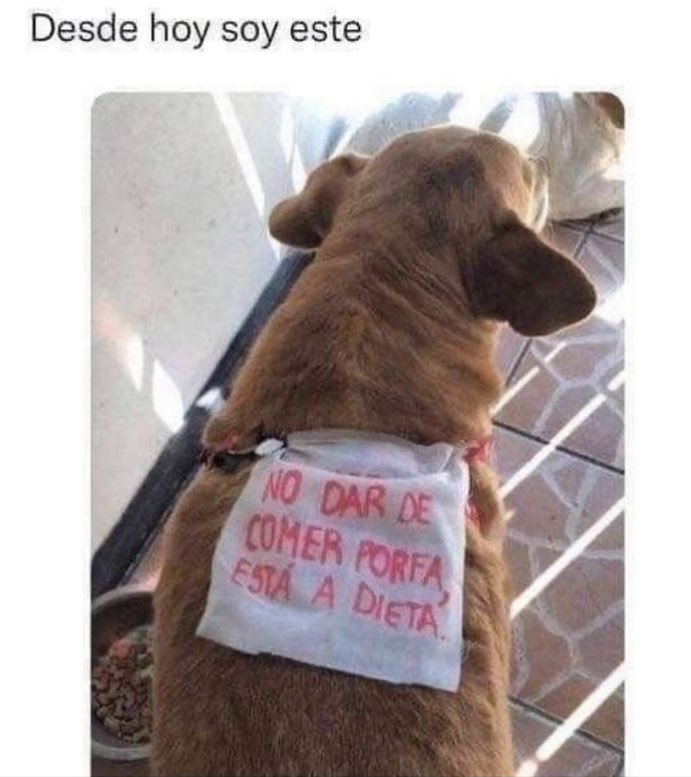 Si soy….