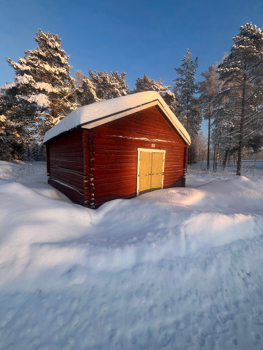 RallySweden's tweet photo. Weather condition right now. -25 degrees celsius 🥶❄️ #rallysweden #umeå #currentcondition https://t.co/boYRdS4New