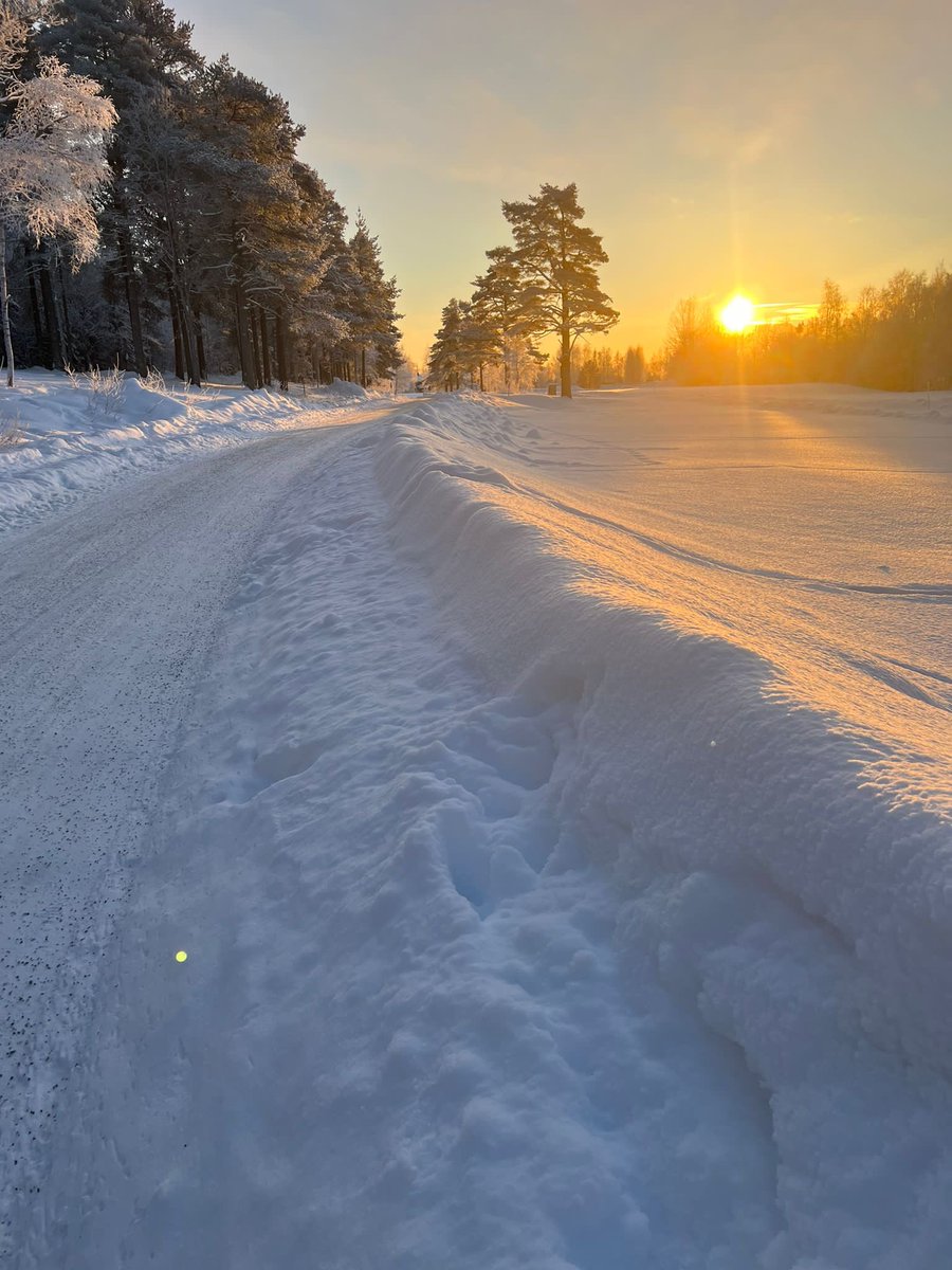RallySweden's tweet photo. Weather condition right now. -25 degrees celsius 🥶❄️ #rallysweden #umeå #currentcondition https://t.co/boYRdS4New