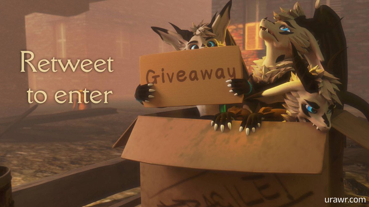 3 little Durgarra's are looking for a new home!
Who wants one for the new year?
