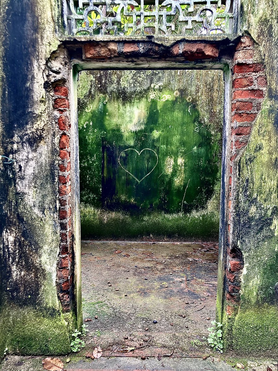 Drahomíra Bačkorová tweet media