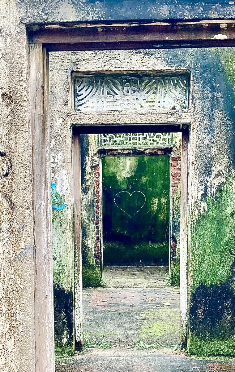 Drahomíra Bačkorová tweet media