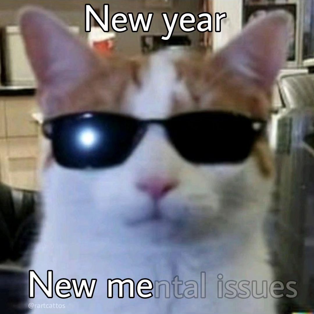 perfil dedicado a gatinhos e peitos tweet media
