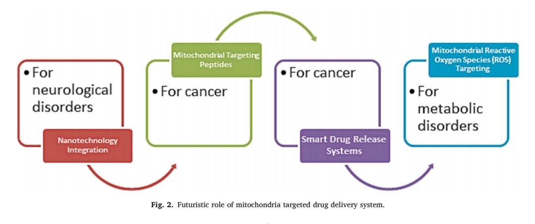 Mitochondria-targeted drug delivery systems (lipid-based nanocarriers, nanoparticles, peptide-mediated targeting, photodynamic therapy) hold significant promise in advancing cancer therapy by exploiting the unique attributes of cancer cell mitochondria. sciencedirect.com/science/articl…