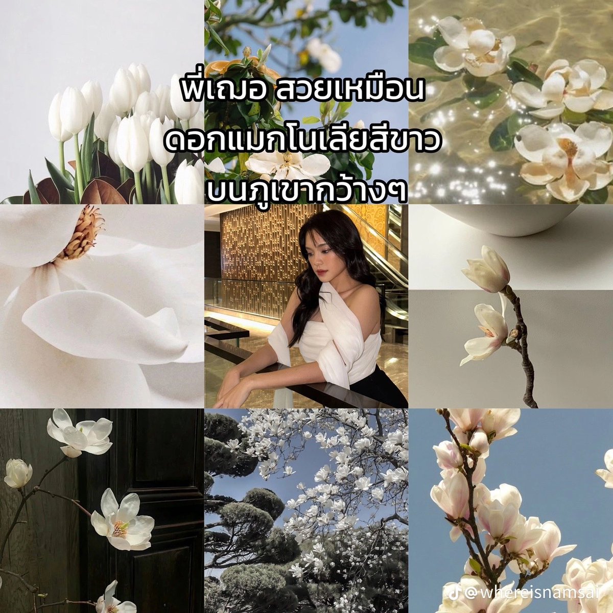 เราเอง~ 💗🌻 tweet media