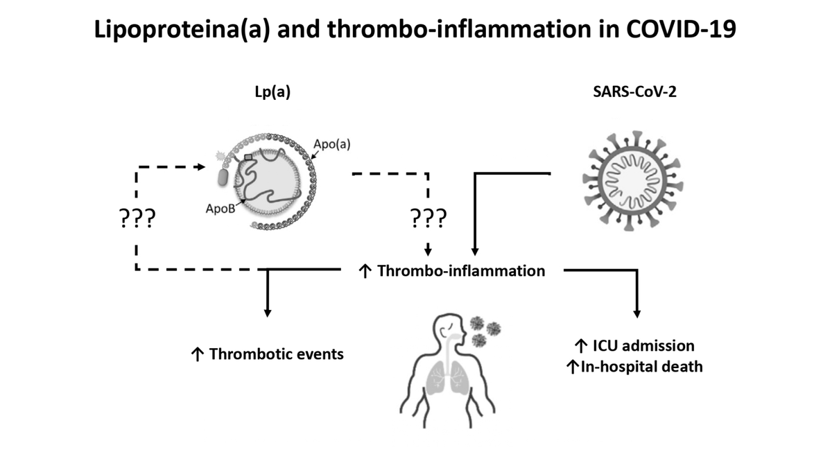 JCM_MDPI's tweet photo. #mdpijcm
An #article "Lipoprotein(a) Does Not Predict Thrombotic Events and In-Hospital Outcomes in Patients with COVID-19" by @VaBianconi et al.
👉Check more: https://t.co/EDCC3xNJtz
@VaBianconi @UniperugiaNews @WCHospital 
#Covid #thrombosis #inflammation https://t.co/WuPejTvhxq