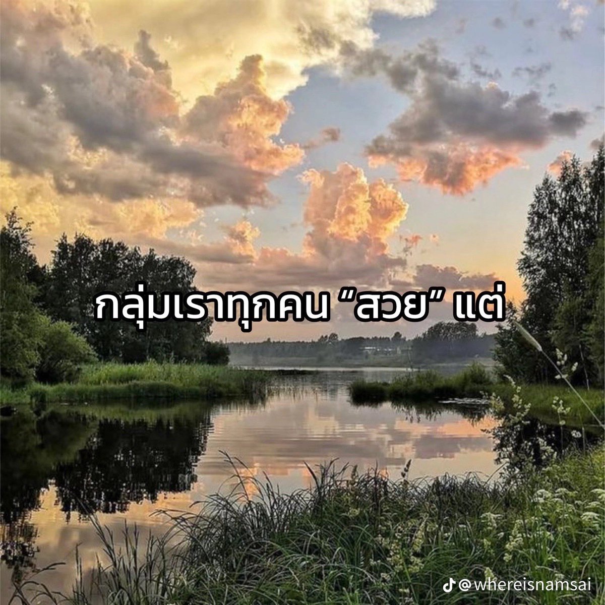 “ ปลาเองง ” tweet media