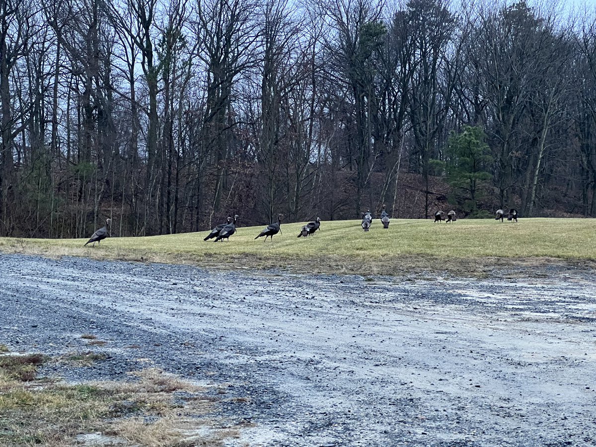 It may be a chilly morning, but our visitors made sure to stop by & say “Hi!”

📸 credit: Jack S. in Ops and Lisa O. General Superintendent 

#Utilities #WastewaterManagement #Solidwastemanagement #MCUA #Sayreville #UtilitiesAuthority #NewJersey #Middlesexcounty #eastbrunswicknj