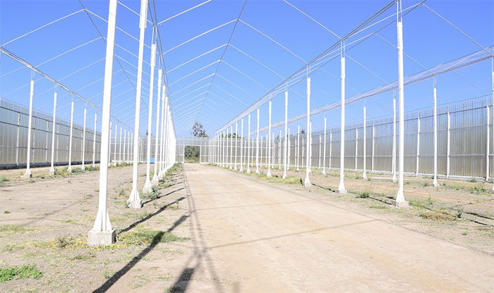 hawelti's tweet photo. Good Read: Halhale Project: Promising Agricultural Venture 

Medium agricultural projects with wide portolio of products usually offer higher prospects of commercial viability and sustainability
https://t.co/5G2WS5P7ll https://t.co/Tpra2hpEIE