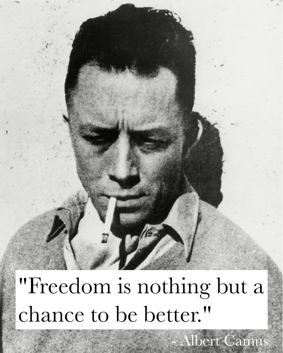 “Freedom is nothing but a chance to be better.”

 - Albert Camus