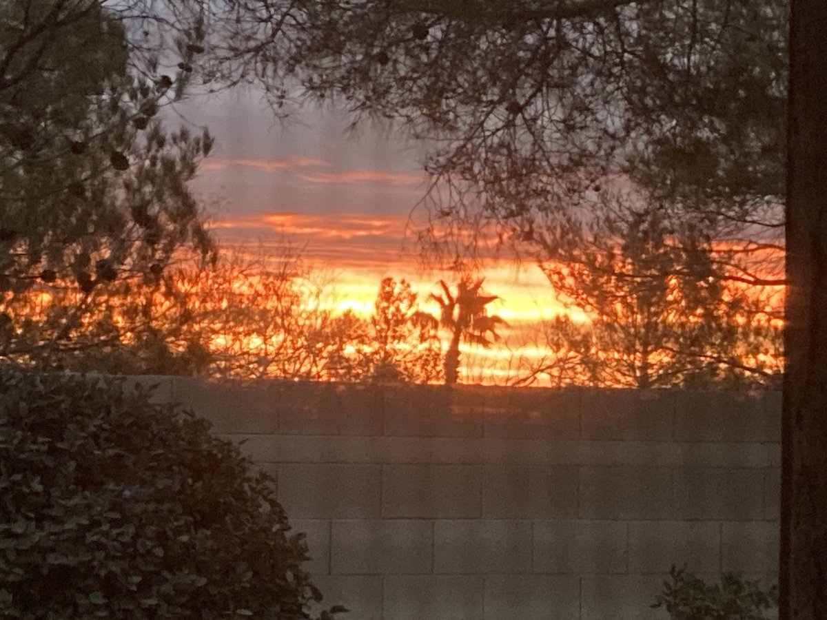JeanneCStein's tweet photo. The sky is on fire https://t.co/CepNlhVrMT