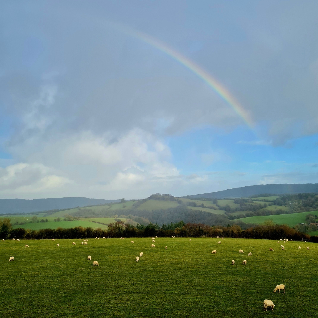 Shearwell Data Ltd tweet media