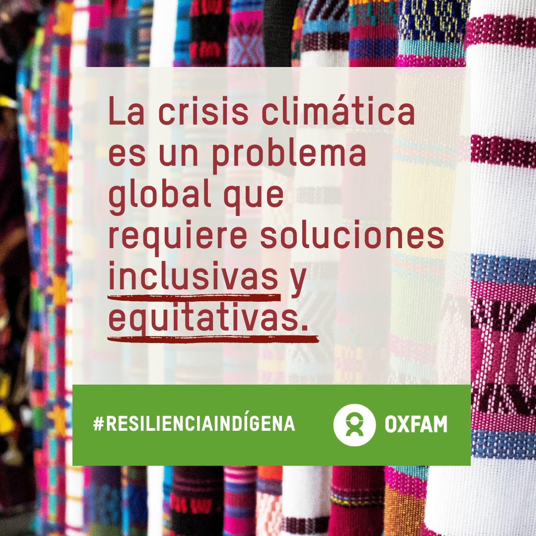 ¿Sabes cómo las estrategias de resiliencia de los #PueblosIndígenas contribuyen a la reducción de los impactos del #CambioClimático❓

⬇️ Descarga este informe que presentamos el 2⃣0⃣2⃣3⃣ oxf.am/3JF4MzB

#ResilienciaIndígena 
#JusticiaClimática 
#AcciónHumanitaria