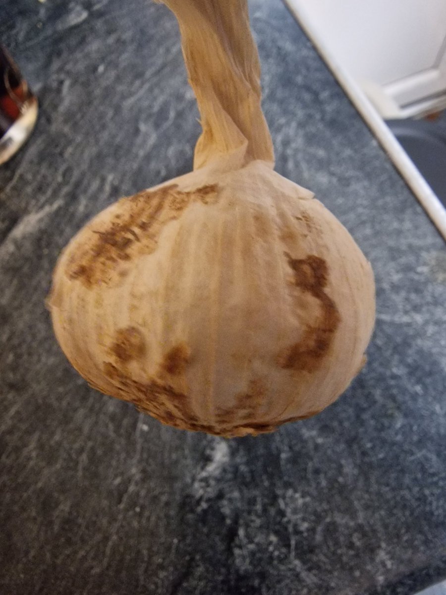 BigSilver's tweet photo. Was Bought a @HelloFreshUK to see if I liked them. Don't think I'll be signing up in a hurry!.. https://t.co/DabirGsMRX
