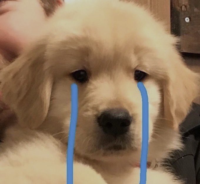 bringmeatulip's tweet photo. เพลงนี้ฮวาเหลียนสุบๆ https://t.co/QDS1h8AjT3