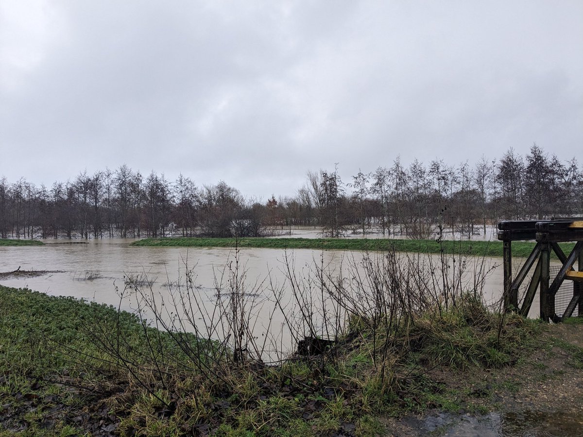 sue313131's tweet photo. @looknorthBBC @bbcweather @metoffice #flooding #lincolnshire https://t.co/x18YPs93ig