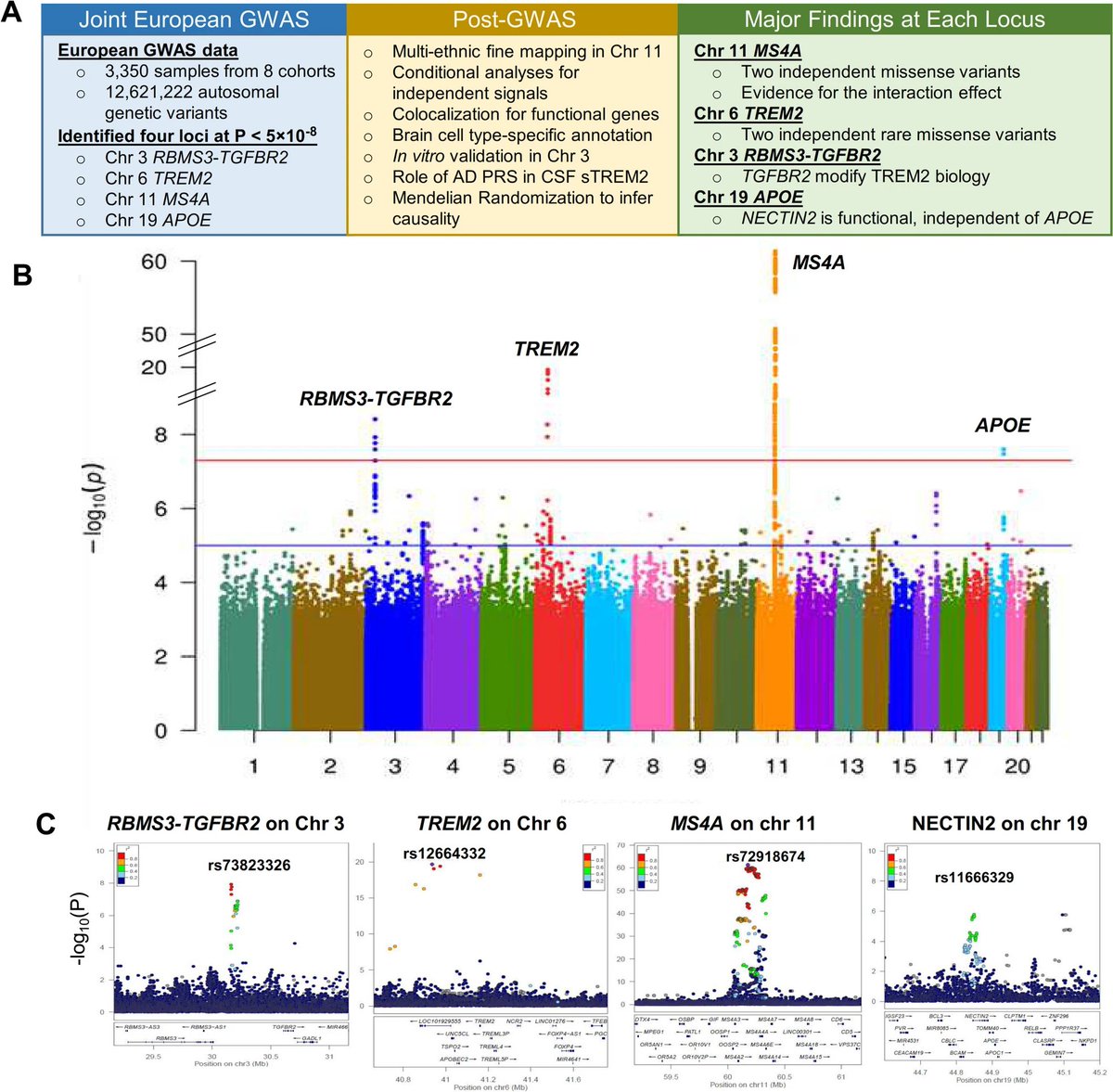 Molecular Neurodegeneration (@molneuro) on Twitter photo 'Proteo-genomics of soluble #TREM2 in cerebrospinal fluid provides novel insights and identifies novel modulators for #AlzheimersDisease'
Lihua Wang & Niko-Petteri Nykänen... <a href="/ccrugom/">Carlos Cruchaga</a> <a href="/Neuro_Genomics/">NeuroGenomics and Informatics Center</a> <a href="/WUSTLmed/">Test Account</a> #microglia #APOE #Proteogenomics
bit.ly/3vsSnug 'Proteo-genomics of soluble #TREM2 in cerebrospinal fluid provides novel insights and identifies novel modulators for #AlzheimersDisease'
Lihua Wang & Niko-Petteri Nykänen... <a href="/ccrugom/">Carlos Cruchaga</a> <a href="/Neuro_Genomics/">NeuroGenomics and Informatics Center</a> <a href="/WUSTLmed/">Test Account</a> #microglia #APOE #Proteogenomics
bit.ly/3vsSnug
