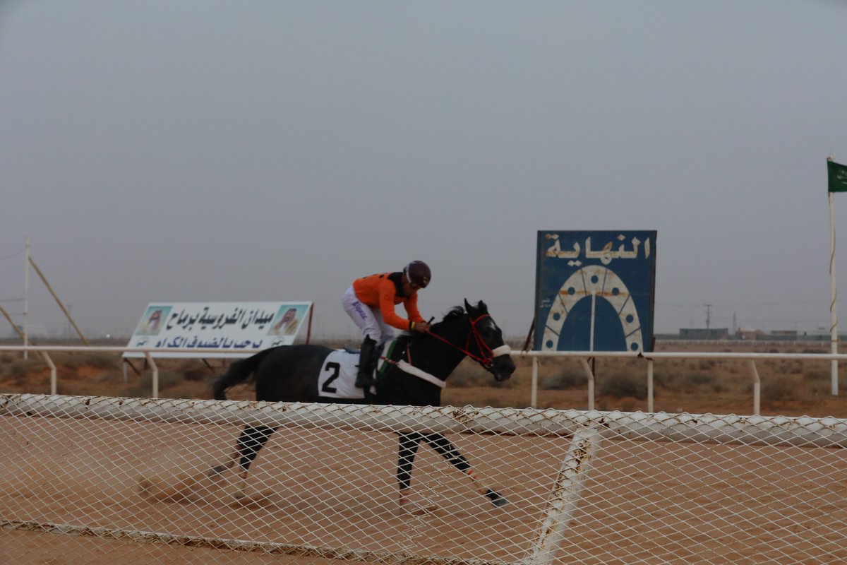 midanrumah's tweet photo. #ميدان_الفروسية_برماح  
   النتيجة النهائية للحفل السابع على دعم نادي سباقات الخيل    الشوط الرابع 
 المركز الأول/ ابو طالب
 المالك / ابناء عبدالله عيد ابو ثنين 
  المدرب/ ناصر فالح     
الخيال /وجبرتو راموس
https://t.co/9pQ46KiWE3 https://t.co/3C1Oi7mGGZ
