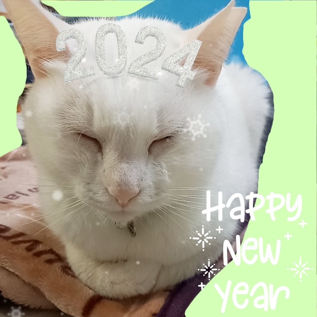 Haku531's tweet photo. 遅くなりましたが、あけましておめでとうございます！🐲
今年もよろしくお願い致します！
ハク https://t.co/kPrLfpocwp