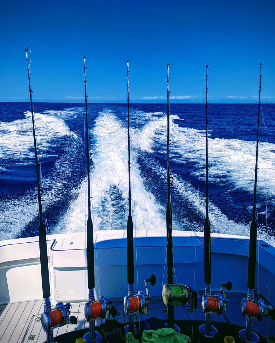 CasaViejaLodge's tweet photo. May your year ahead be full of views like these ππ
β’
#casaviejalodge #guatemala #fishinglodge #offshorefishing #offshore #rods #rodsandreels #reels #boatviews #2024 https://t.co/utcGHcaDpY